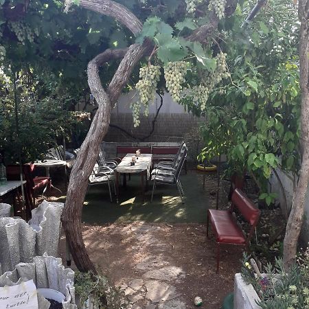 Apartmani Damir Kazija Pakoštane Dış mekan fotoğraf